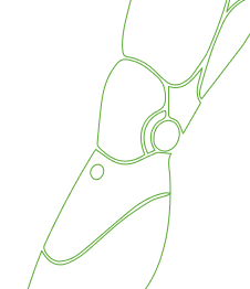 КИБОРГИЗАЦИЯ